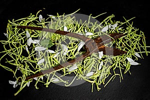 Old rusty metal scissors on a green grass background