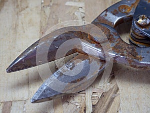 Old, rusty metal scissors on wooden background
