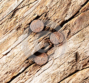 An old rusty nail driven into a wooden board.