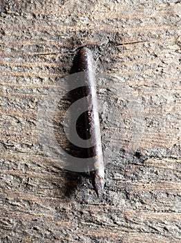 An old rusty nail driven into a wooden board.