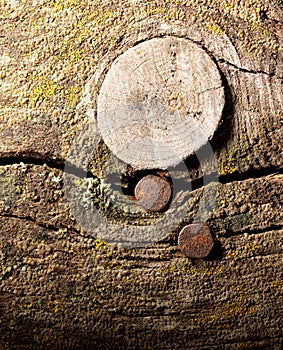 An old rusty nail driven into a wooden board.