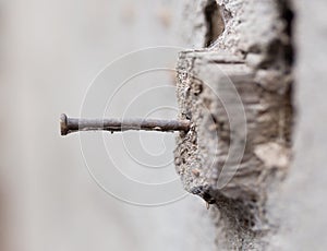 Old rusty nail hammered into a piece of wood