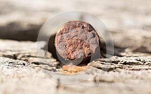 Old rusty nail. macro