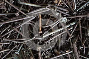 The old rusty nails close-up.