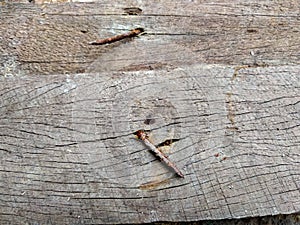 old, rusty nails on a wooden board