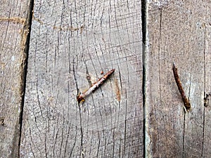 old, rusty nails on a wooden board