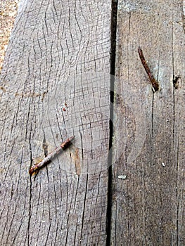 old, rusty nails on a wooden board