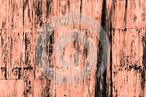 Old rusty orange iron wall background