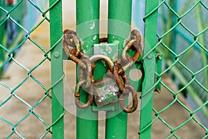 Old and rusty padlock chained to a green door in a fence