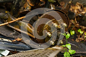 Old rusty parts of the front axle of a car abandoned in the forest.