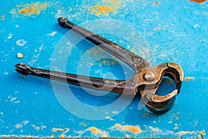 Old rusty pincers on a blue, rusty metal background. First-class levers used primarily for removing objects typically nails