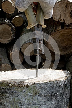 Old rusty pliers pull a new steel nail out of a stump. Hand in a work glove.