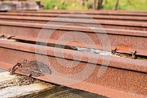 Old, Rusty rails for trains