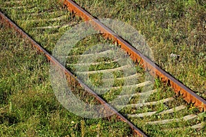 Old rusty railtracks in green grass