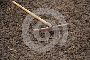 Old rusty rakes with a wooden yellow handle lie on the ground