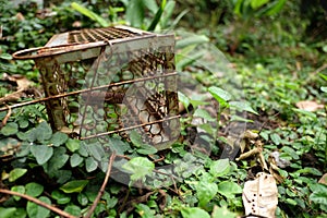 An old rusty rat trap on the green grass and soil