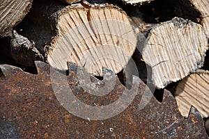 Old rusty saw blade on circular saw with wood