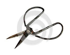 Old rusty scissors isolated on white