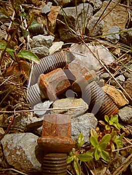 Old rusty screws laying on stone path