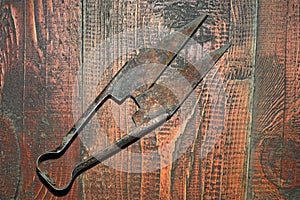 Old rusty shears for shearing sheep