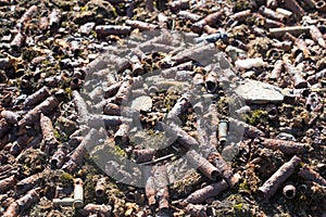 Old rusty shell bullets scattered on the ground