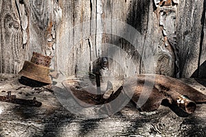 An old rusty shovel and other metal objects on a wooden shelf