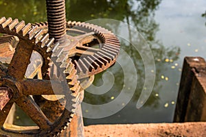 Old rusty steel gear