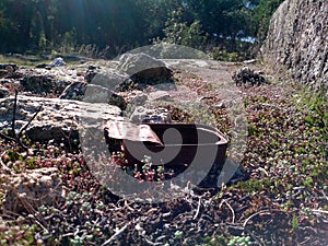 Old rusty tin in the forest