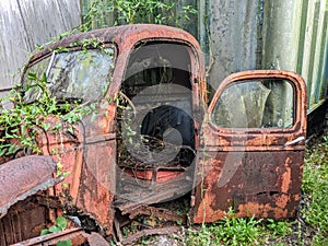 Old Rusty Truck With Door Open and Brush Growing Over Frame