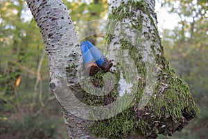 Old, Rusty used hunting cartridge in the forest. rusty cartridges in the woods