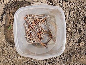 Old rusty various previously used nails in translucent plastic bowl on the soil in sunlight