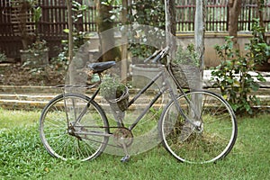 Old rusty vintage bicycle and flowers in a wicker basket