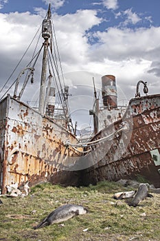 Old rusty whaling boats