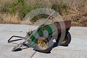 old rusty wheelbarrow garden is filled with dry grass