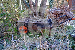 Old rusty wheelbarrow with twigs and sticks.  Taken on a winter`s morning with heavy frost