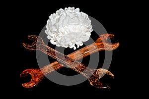 Old rusty wrench and chrysanthemum on a black background