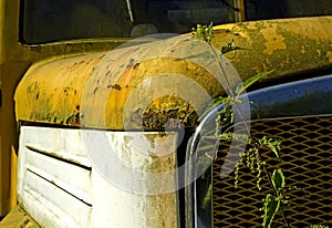 Old rusty yellow truck