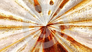 Old rusty zinc wall texture and background