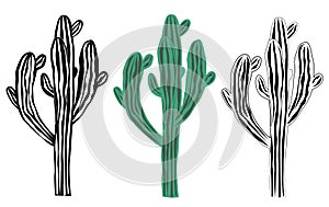 Old saguaro cactus isolated on white background, Carnegiea gigantea illustration. Black and white and color set photo