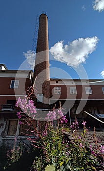 Old Sandtrask sanatorium in the north of Sweden photo