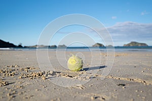 Old sandy tennis ball on a beach in New Zealand, NZ, with shallow depth of field