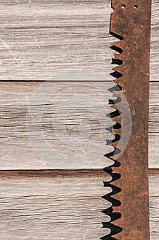 Old Saw Blade