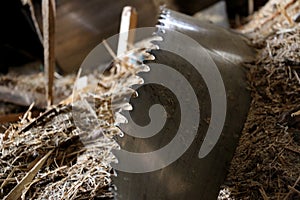 Old saw blade and sawdust