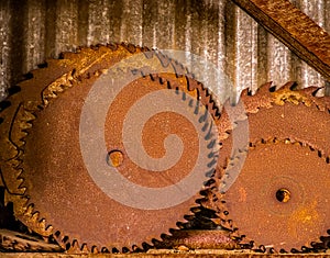 Old Saw Blades in the Machine Shop