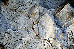 Old sawed wood 2