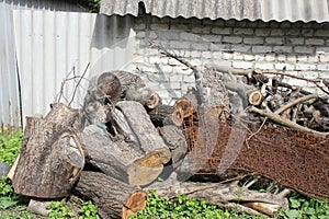 Old sawn woods located in bulk