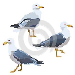 Old school 8 bit pixel art seagull standing on the ground.Sea bird icon isolated on white background