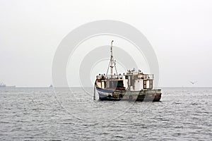 An old schooner with an anchor in the water stands in the sea against the background of the sky. There are many birds sitting on