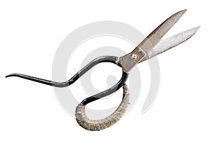 Old Scissors