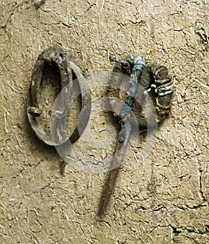 Old scissors for sheep shearing  and horseshoes